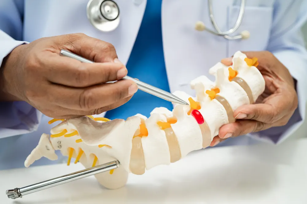 Chiropractor showing upper cervical spine alignment