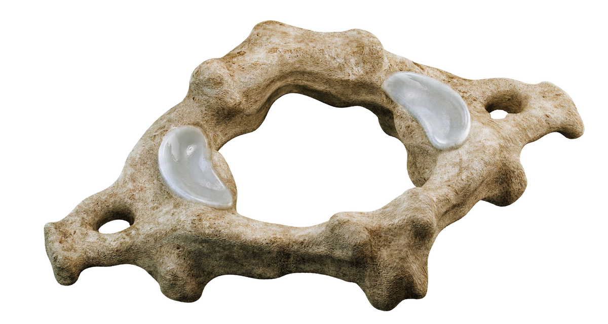 Axis Neck Vertebrae