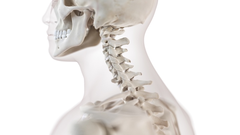 3d rendered medically accurate illustration of the cervical spine