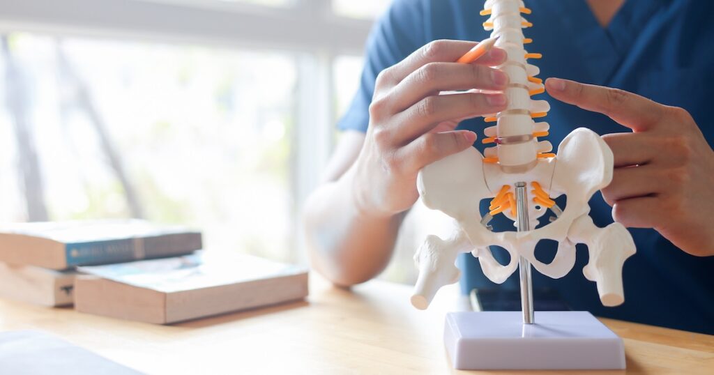 Chiropractor Care