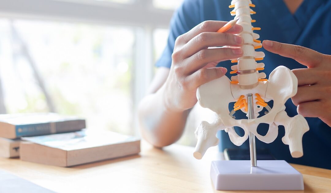 Chiropractor Care: Looking for Pain Relief in Boise?