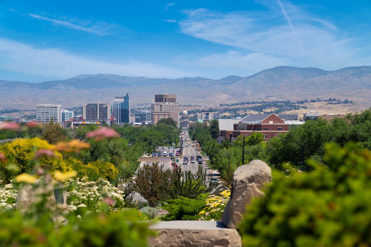Boise Chiropractor